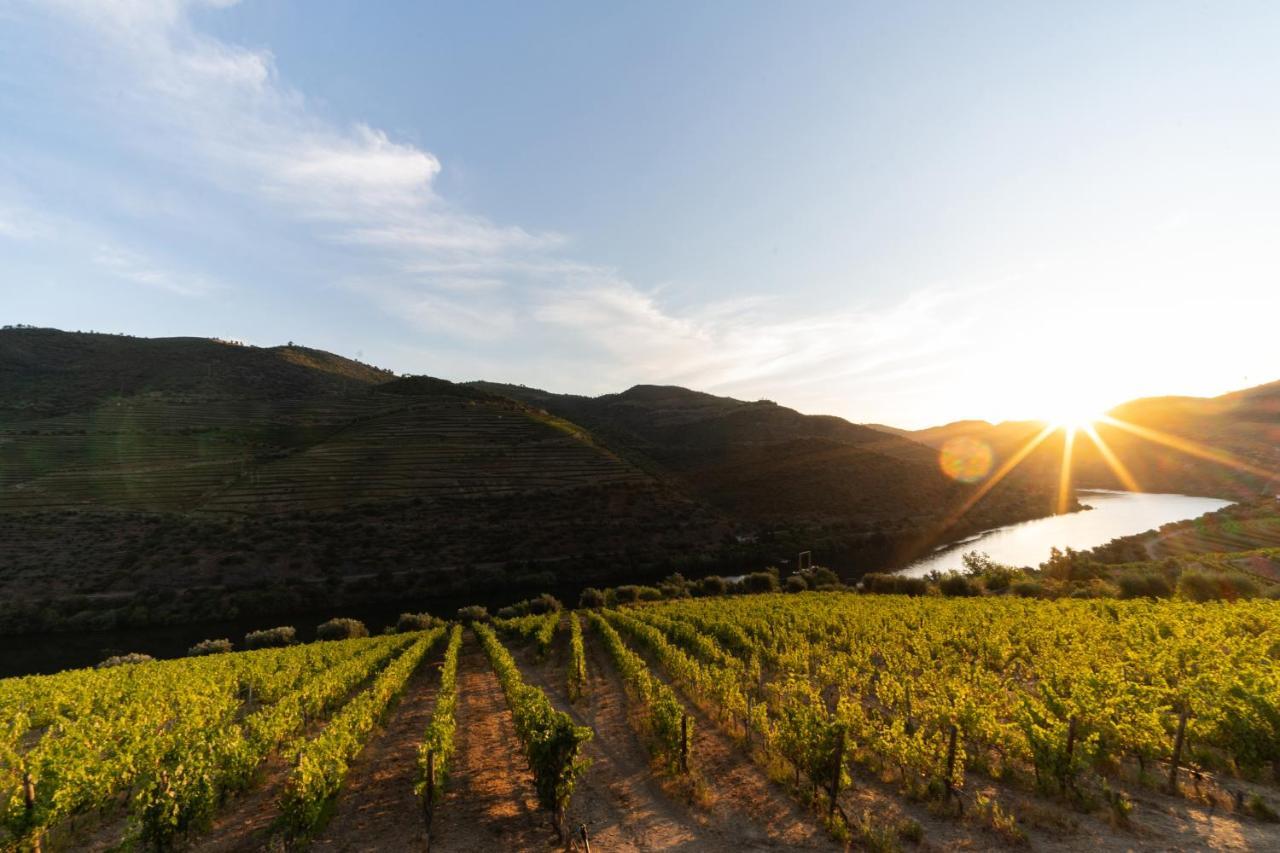 Ervedosa do Douro Quinta De S. Jose - Turismo Rural מראה חיצוני תמונה